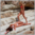 Lexxi vs Laura in mini bikini catfight – HD