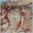 Bikini gunfight in the rocks – Renee vs Blanca