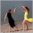 Swordfight on the beach – Danni vs Fiona