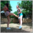 Belly punching outdoor – Renee vs Sabrina – FULL HD